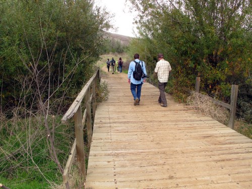 A group of people walking on a wooden bridge through a natural landscape with trees and shrubs.