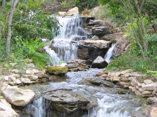 A serene waterfall cascading over rocks, surrounded by lush greenery and ferns.
