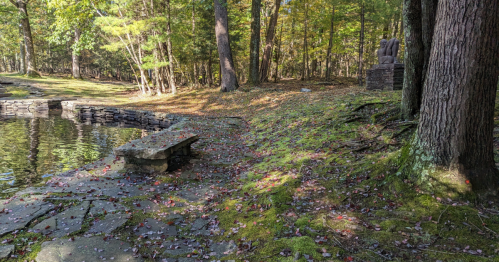 A serene outdoor scene featuring a stone bench by a pond, surrounded by trees and fallen leaves in a wooded area.