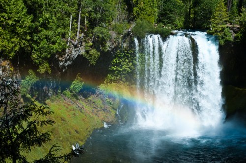 A vibrant waterfall cascades into a pool, with a rainbow arcing through the mist and surrounded by lush greenery.