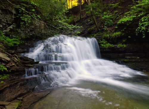 A serene waterfall cascades over rocks, surrounded by lush green foliage and trees in a tranquil forest setting.