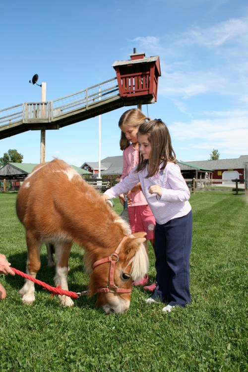 Two girls pet a small pony on a grassy field, with a playground structure in the background under a clear blue sky.