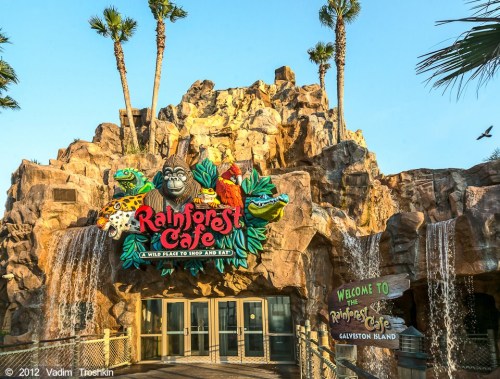 Entrance to Rainforest Cafe featuring tropical decor, waterfalls, and vibrant animal sculptures. Palm trees in the background.
