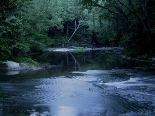 A serene river flows through a lush, green forest, reflecting trees and creating gentle ripples on the water's surface.