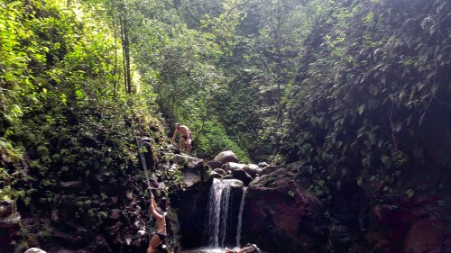 A lush green forest surrounds a small waterfall, with people climbing rocks and enjoying the natural scenery.