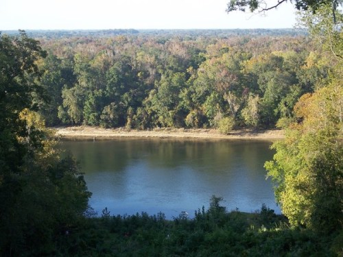 A serene river flows through a lush forest, showcasing vibrant autumn foliage along the banks.