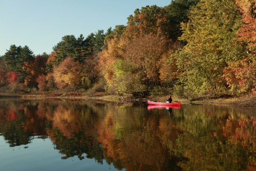 A person in a red kayak paddles on a calm lake surrounded by vibrant autumn foliage reflecting in the water.