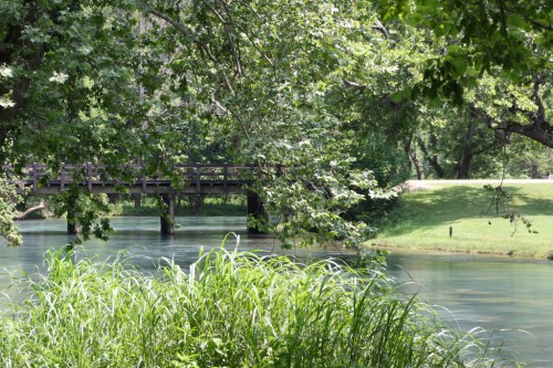 A serene river scene with lush greenery and a wooden bridge in the background, surrounded by trees.