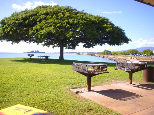 A large tree shades a grassy area with barbecue grills, overlooking a calm body of water and distant hills.
