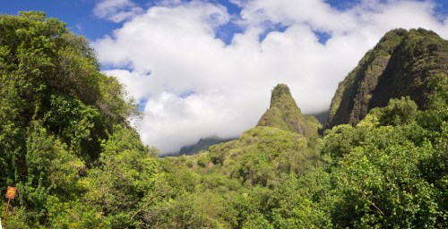 Lush green mountains under a partly cloudy sky, with dense vegetation in the foreground.