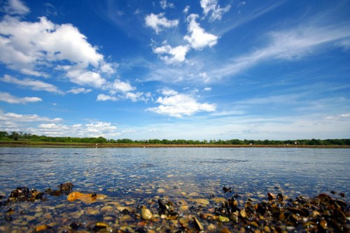 A serene river scene with clear water, pebbles, and a bright blue sky dotted with fluffy clouds.