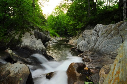 A serene river flows through rocky terrain, surrounded by lush green trees under a soft, golden light.