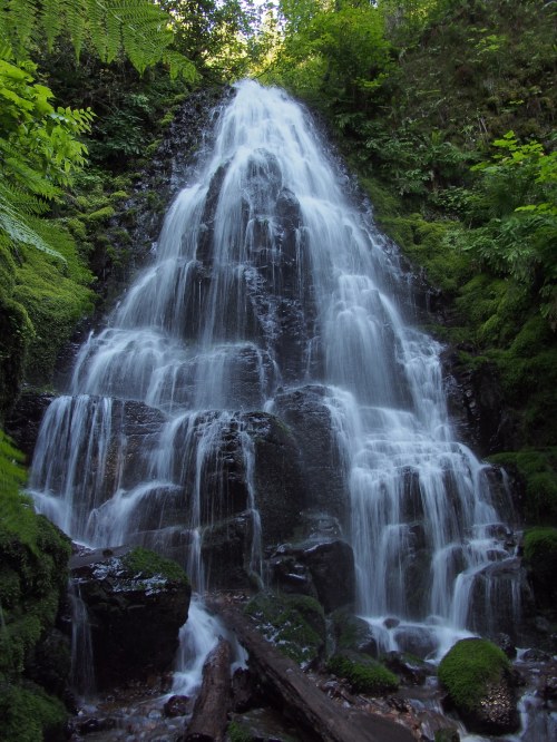 A cascading waterfall surrounded by lush green foliage and moss-covered rocks.