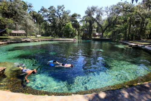 A serene natural spring with clear blue water, surrounded by lush greenery and people swimming and relaxing.