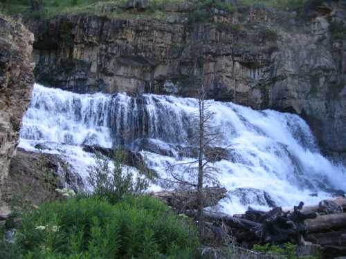 A cascading waterfall flows over rocky cliffs, surrounded by lush greenery and fallen logs.