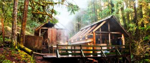 A rustic wooden cabin surrounded by lush green trees, with mist rising in a serene forest setting.