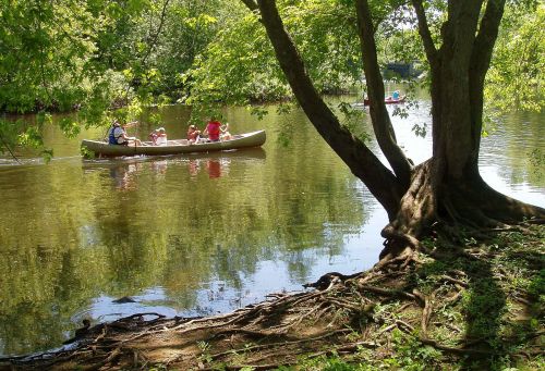 A canoe with people paddling on a calm river, surrounded by lush green trees and reflections in the water.