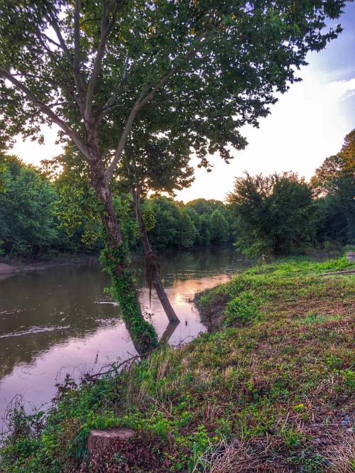 A serene river scene with lush trees and greenery along the water's edge, reflecting a peaceful sunset.