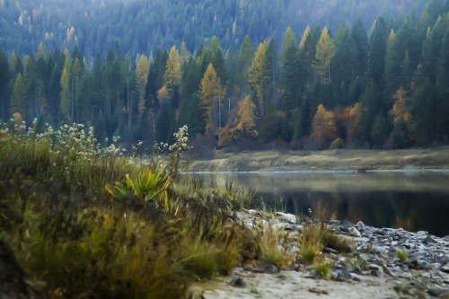 A serene lakeside scene with autumn foliage, reflecting trees and mountains in calm water.