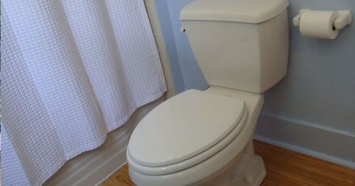 A clean white toilet next to a shower curtain and toilet paper holder in a light blue bathroom.