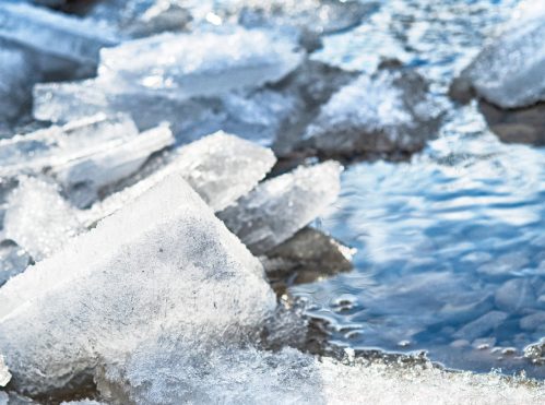Chunks of ice scattered along the edge of a calm, reflective water surface.