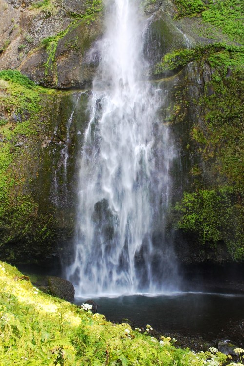 A cascading waterfall surrounded by lush green foliage and rocky terrain, with a serene pool at its base.
