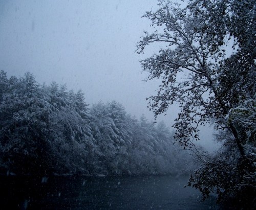 A snowy landscape with a river and trees, shrouded in fog and falling snowflakes.
