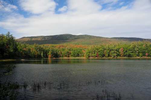 A serene lake surrounded by trees with autumn foliage and a mountain in the background under a partly cloudy sky.