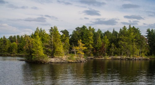 A serene lake scene featuring a small island surrounded by lush green trees under a cloudy sky.