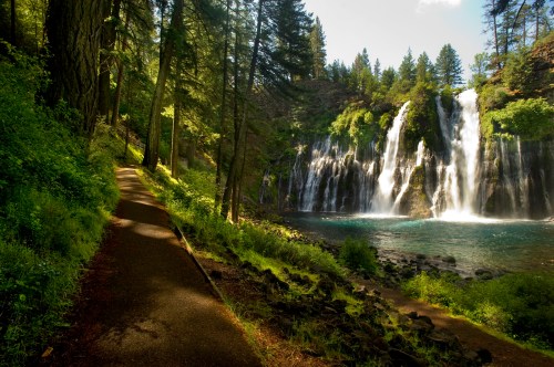 A scenic path beside a lush forest leads to a cascading waterfall surrounded by greenery and a tranquil blue pool.
