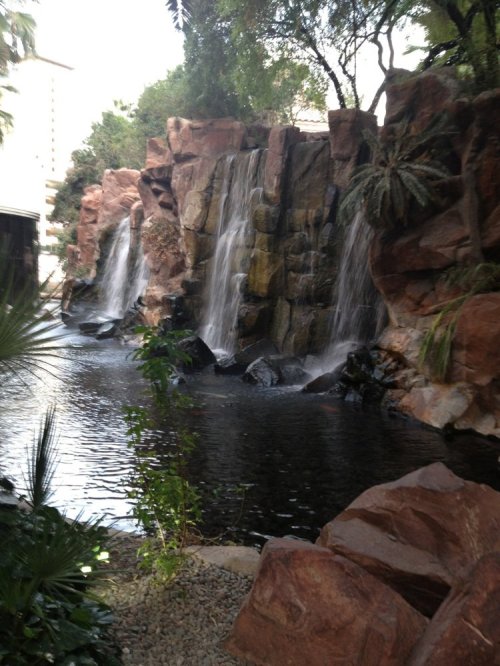 A serene waterfall cascades over rocky formations into a calm pool, surrounded by lush greenery.