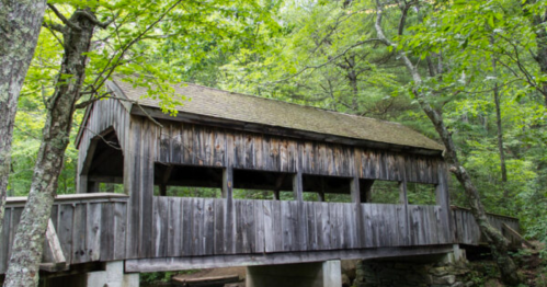 A rustic wooden covered bridge surrounded by lush green trees in a serene forest setting.