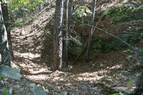 A wooded area with tall trees and rocky terrain, featuring a sunlit path covered in fallen leaves.