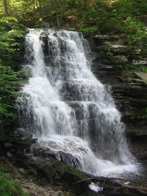 A serene waterfall cascading over rocky ledges, surrounded by lush green foliage in a tranquil forest setting.