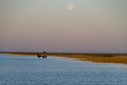 A boat glides through calm waters under a full moon, with tall grasses lining the shore in the background.