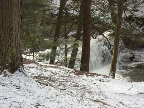 A snowy landscape with trees beside a flowing river, creating a serene winter scene.