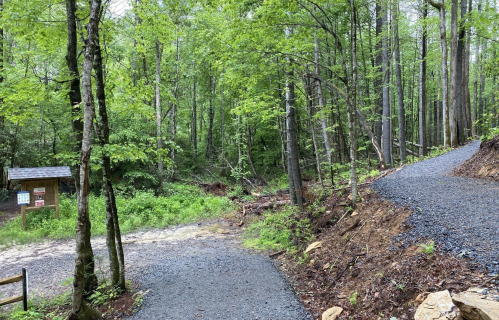 A forested area with two gravel paths diverging, surrounded by lush green trees and a small signpost nearby.