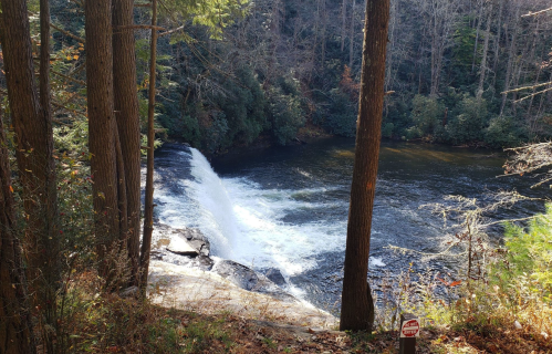 A serene waterfall cascades into a calm river, surrounded by tall trees and lush greenery.