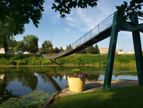 A suspension bridge over a calm river, with a flower pot in the foreground and greenery along the banks.