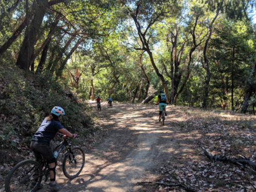 A group of mountain bikers riding on a dirt trail through a lush, green forest.