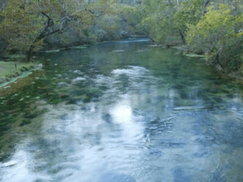 A serene river surrounded by trees, reflecting the calm water and greenery on a peaceful day.