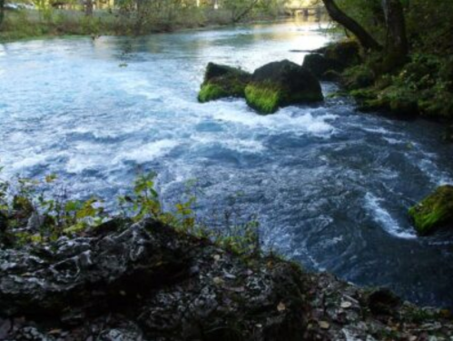 A serene river flows gently, surrounded by lush greenery and rocky banks under a clear sky.