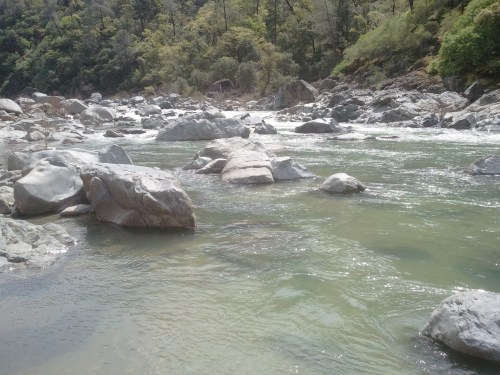 A serene river flows through rocky terrain, surrounded by lush greenery and trees under a clear sky.