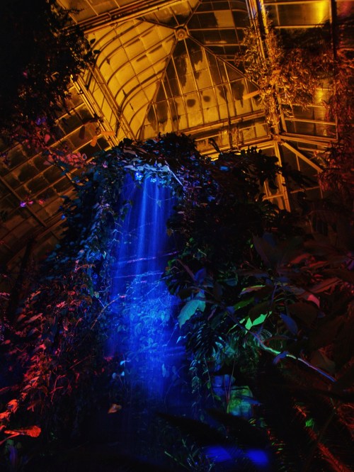 A vibrant indoor garden with a waterfall illuminated by blue and orange lights, surrounded by lush greenery.