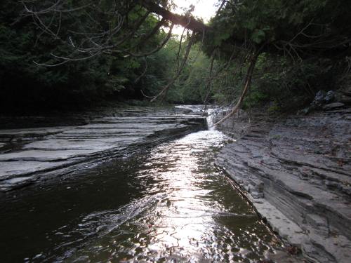A serene river flows through rocky terrain, surrounded by lush greenery and dappled sunlight.