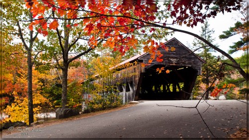 A scenic view of a covered bridge surrounded by vibrant autumn foliage and a winding road.