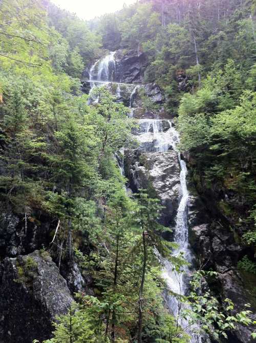 A cascading waterfall flows down rocky cliffs, surrounded by lush green trees and foliage.