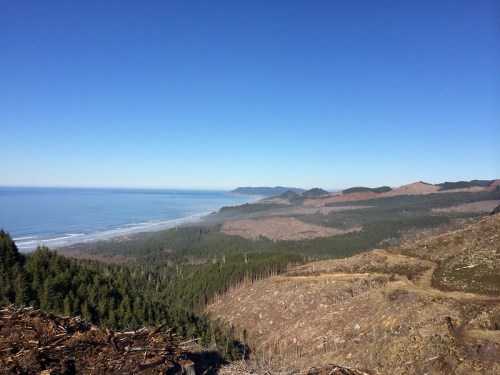 A panoramic view of a coastal landscape with forests, mountains, and a clear blue sky above the ocean.