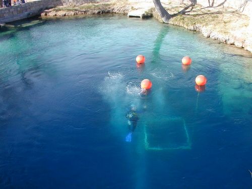 A diver submerged in clear blue water, with orange buoys floating above and a rectangular frame visible underwater.