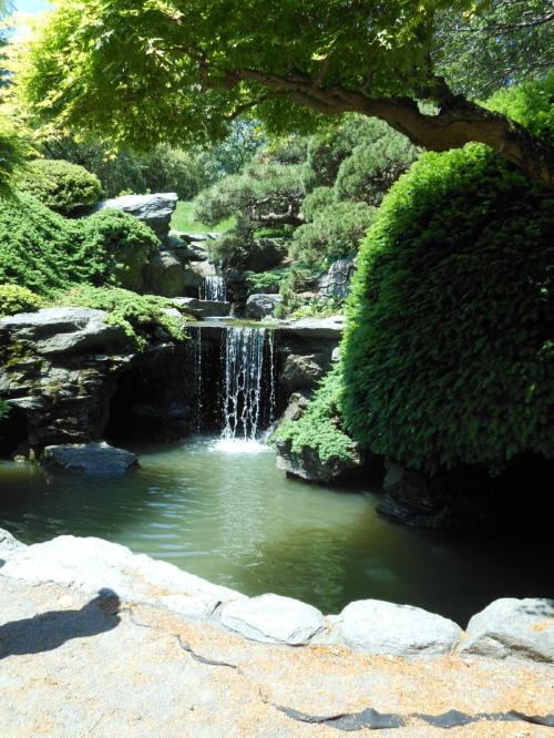 A serene garden scene featuring a small waterfall cascading into a tranquil pond, surrounded by lush greenery.